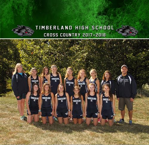 Girls Cross Country 2017 